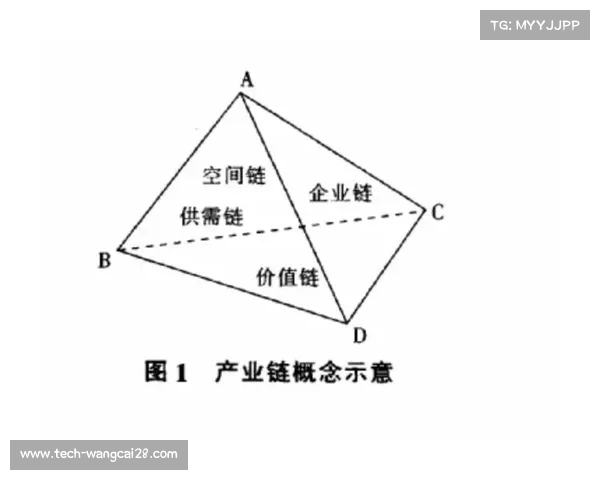 德甲媒体版权价值提升影响力分析与未来发展趋势探讨 德甲媒体版权价值提升影响力分析与未来发展趋势探讨